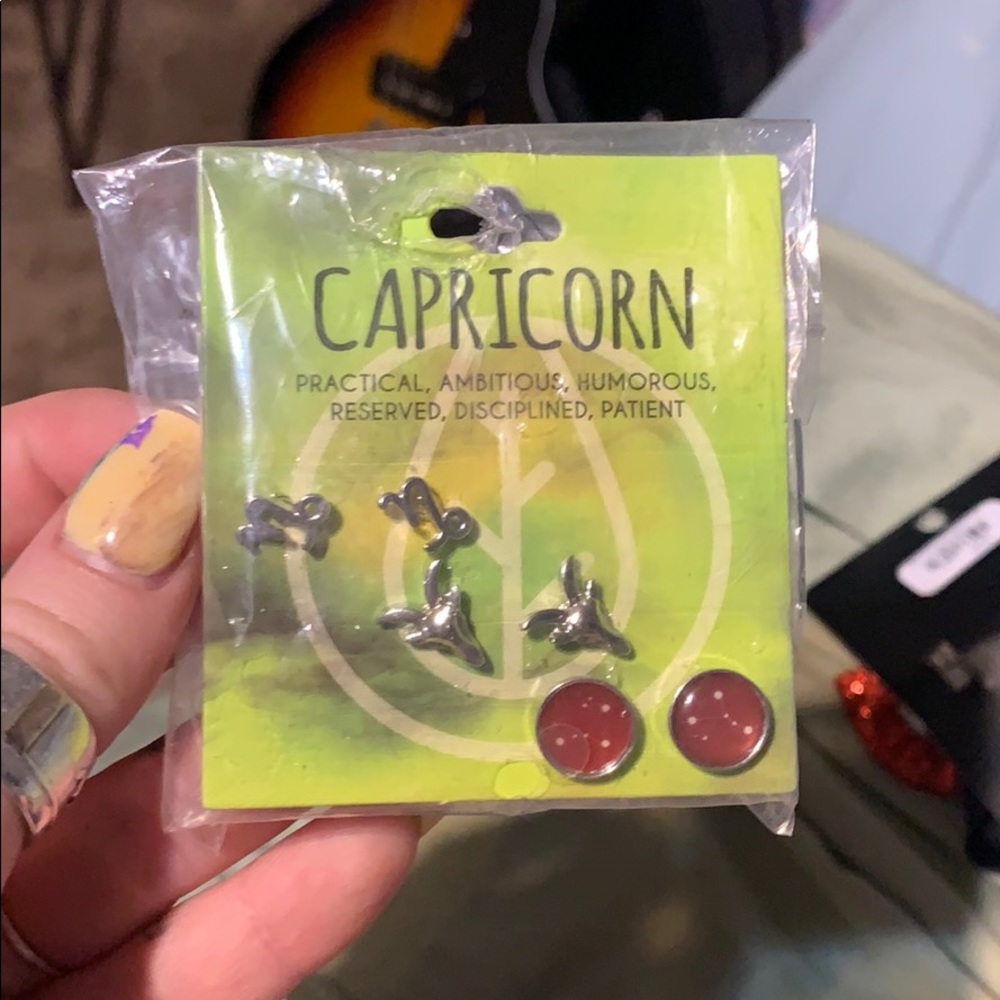 Capricorn earrings (3 pair)